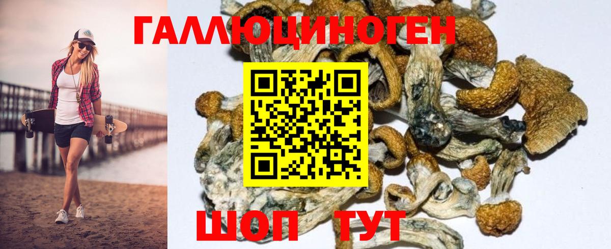 Псилоцибиновые грибы Psilocybine cubensis  Вход с VPN  Благовещенск 