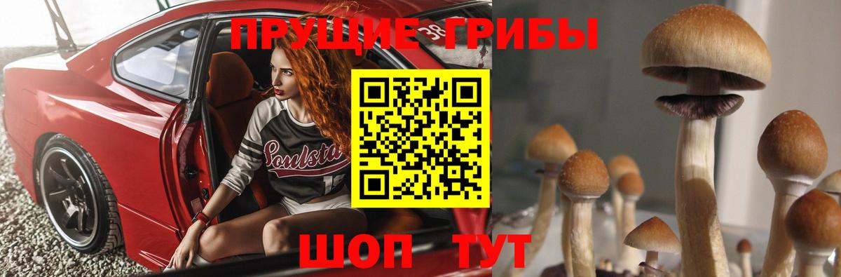 Псилоцибиновые грибы Cubensis Благовещенск